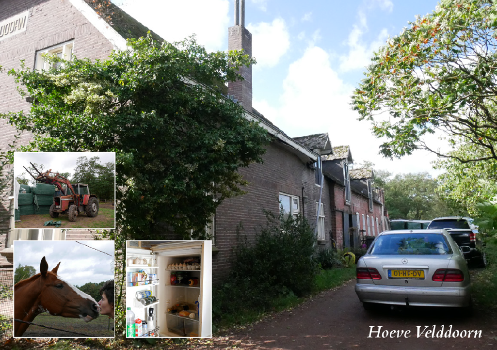 parisian kitchen utensils shop interior